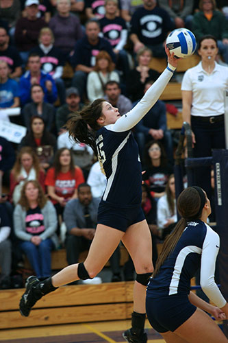 Volleyball national championship Volleyball national championship