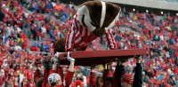 BadgersPushup