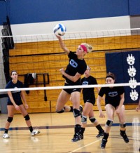 Volley Ballweb
