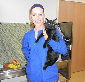 Jerusha Chucka holds Pablo, a cat that will be up for adoption this fall..