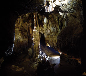 Highlights of the Cave of the Mounds tour include various columns inside the cave.