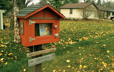 Little free libraries are birdhouse -like boxes with glass doors, filled with books, that can be found throughout the state.