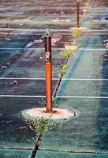 Scenes from the derelict tennis courts show nobody has played on them in years.