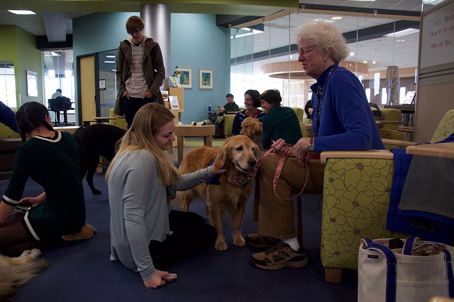 Students in the Truax Library enjoyed a visit from Dogs on Call