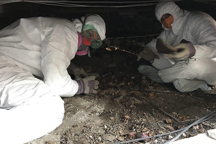 Madison College students wear protective gear as they help work on a home that was severely damaged by Hurricane Katrina.