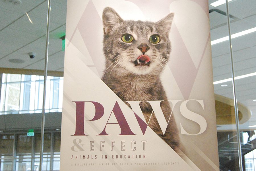The+Paws+%26+Effect%3A+Animals+in+Education+show+in+the+Truax+Gallery+was+a+collaboration+between+vet+tech+and+photography+students.