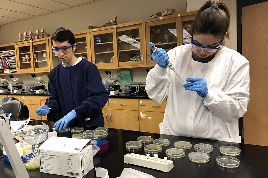 Biology students Nick Wagner and Stela Braimllari preparing to plate their diluted soil samples on a nutrient medium to grow soil bacteria.