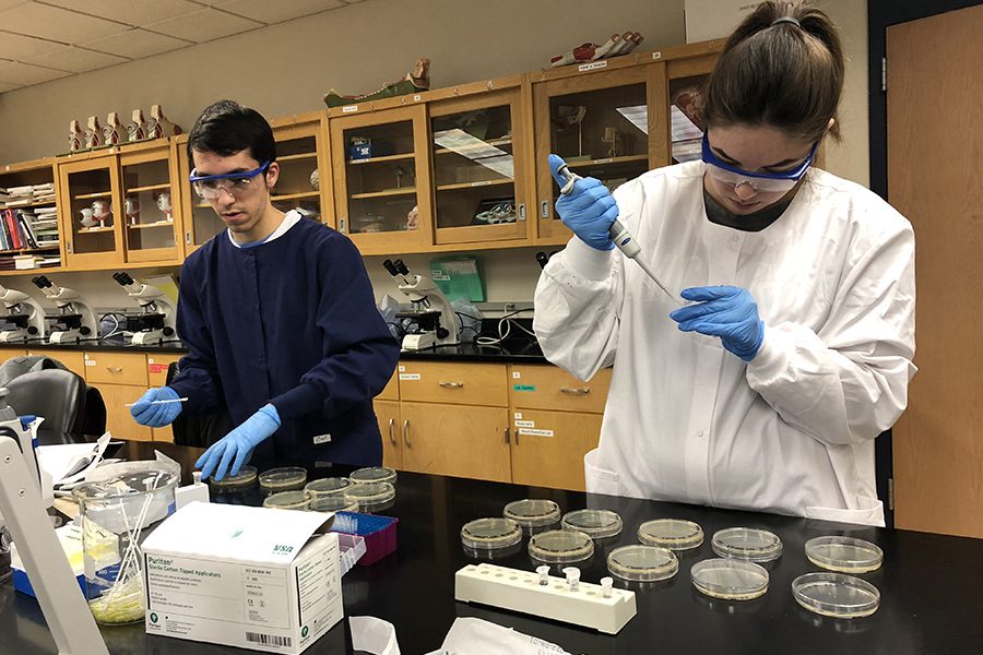 Biology+students+Nick+Wagner+and+Stela+Braimllari+preparing+to+plate+their+diluted+soil+samples+on+a+nutrient+medium+to+grow+soil+bacteria.