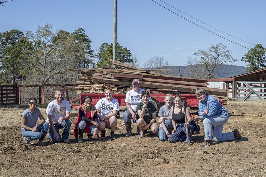 Heifer ranch gives students hands-on experience