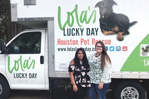 Students help rescued pets: Volunteers transport pets, help find homes