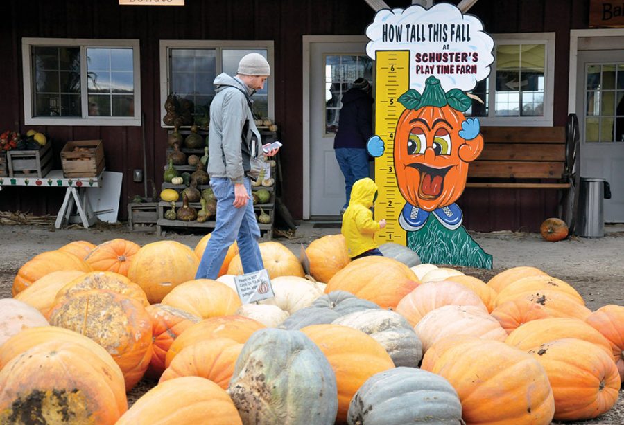 Schuster’s Farm in Deerfield offers pumpkins, a corn maze, a haunted forest and lots of other fun options for visitors of all ages.