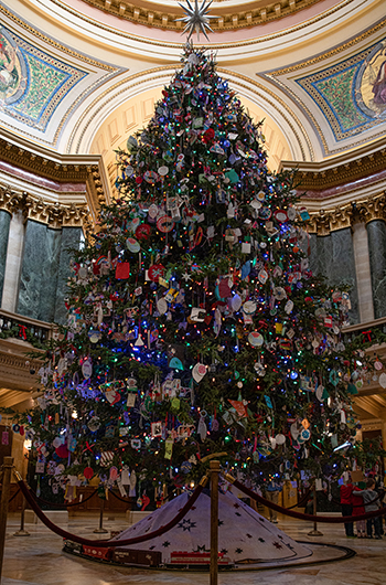 The holiday tree in the Wisconsin State Capitol building has become the subject of debate.