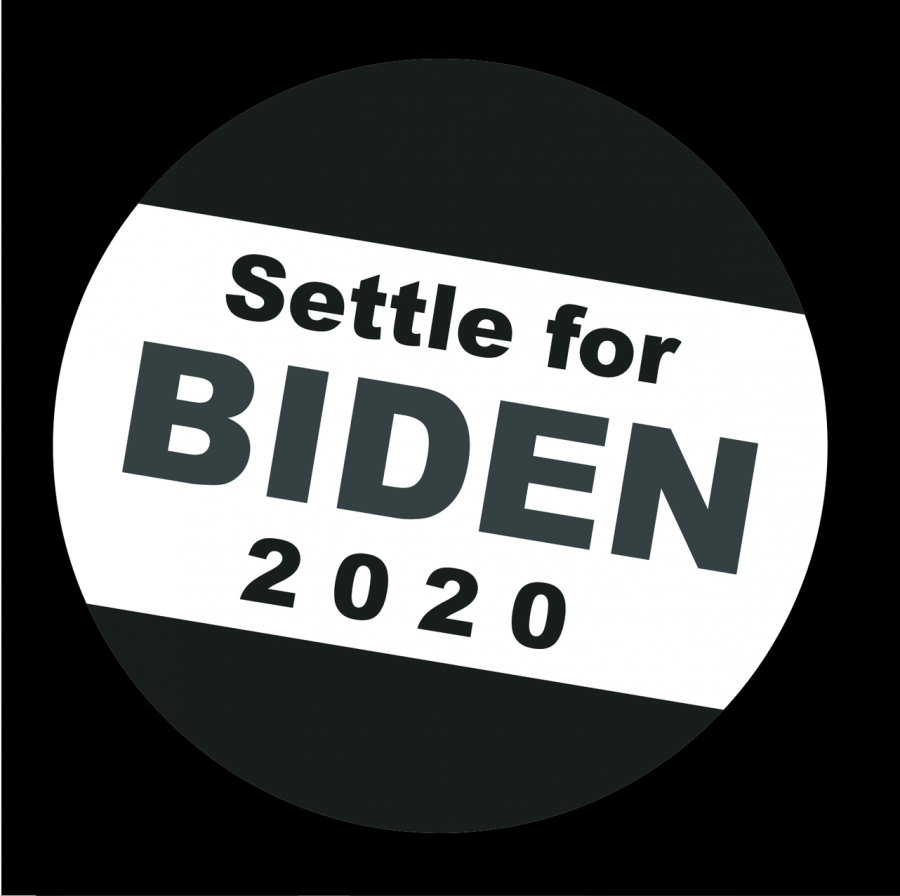 You settled for Biden. Now what?