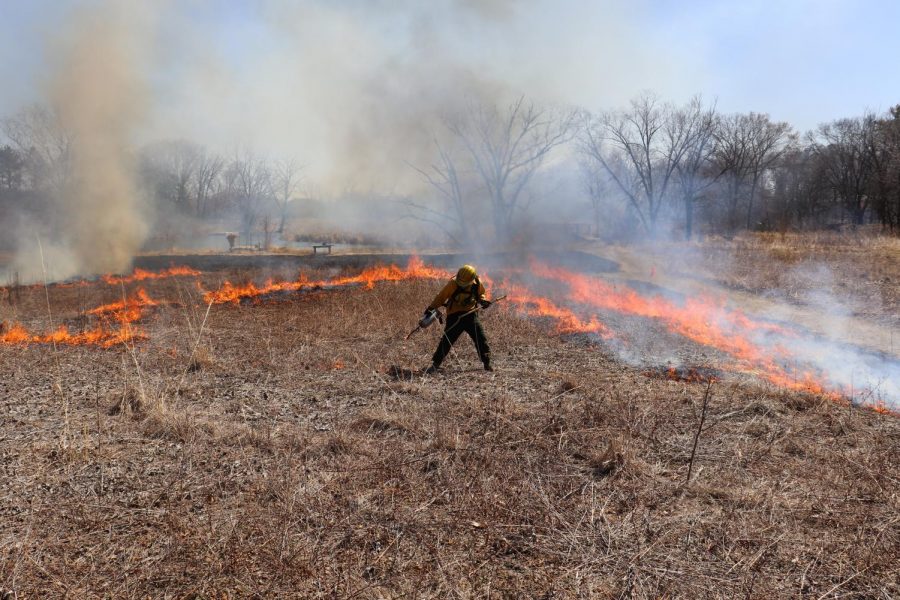 A controlled burn at the Aldo Leopold Nature Center.
