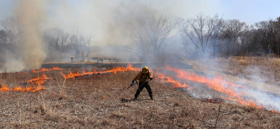 A controlled burn at the Aldo Leopold Nature Center.