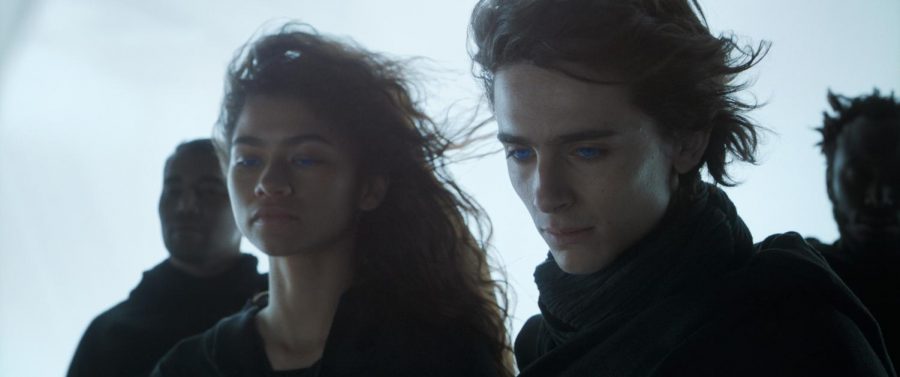 Pictured from left, are Zendaya and Timothee Chalamet in the film 