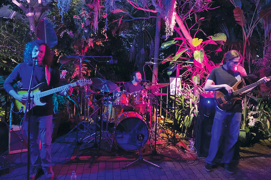 The Grateful Dead-inspired band Earthmother performs at Olbrich Botanical Gardens.