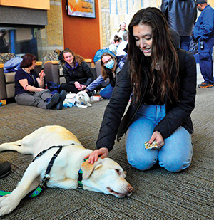 Students visit with the “Dogs on Call” pets on April 25 in the Gateway of the main Truax Campus building.