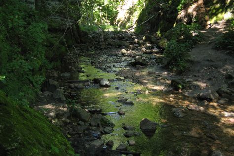 Parfreys Glen State Natural Area features a natural waterfall and beautiful scenery that hikers can enjoy.