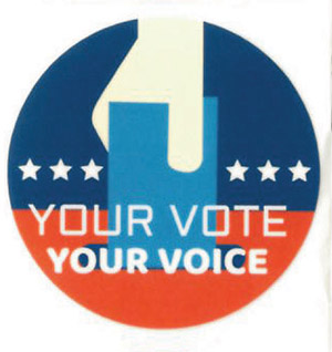 Your Vote, Your Voice