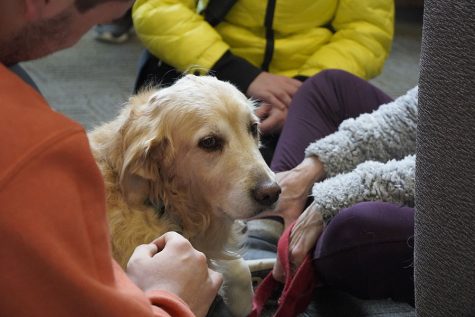 Madison College students visit with the Dogs on Call pets earlier this school year. National Love Your Pet Day was Feb. 20, and reminds us of the positive aspects of pet ownership.
