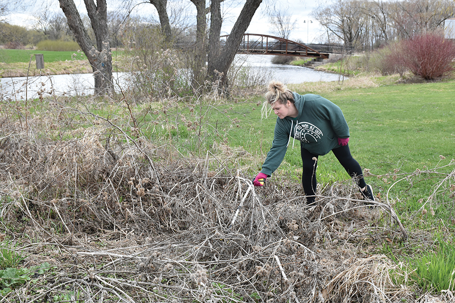 Madison+College+volunteers+spent+time+on+April+21+cleaning+up+Warner+Park+as+part+of+a+Volunteer+Center+Earth+Day+activity.+%28Paige+Shapiro+%2F+Clarion%29