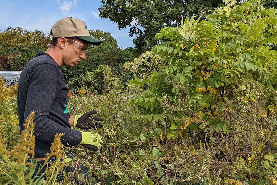 Alex Kaiser takes part in the Restoration Work Party events hosted by the UW-Madison Arboretum.