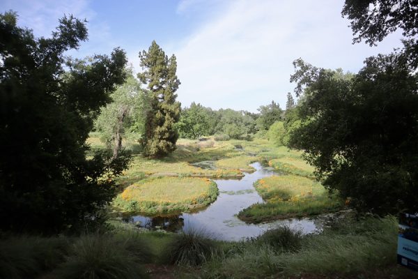 A view overlooking a green meadow and calm, winding stream.