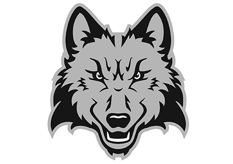 Madison College athletics logo